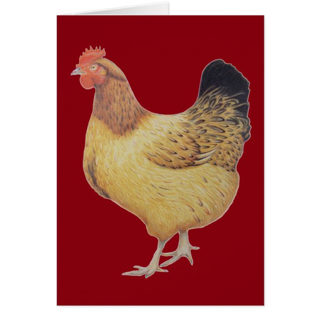 Huhn 2012 (Vorne)