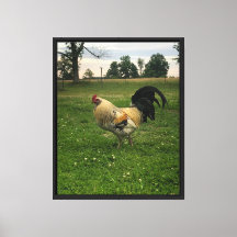 Huhn auf dem Bauernhof Foto