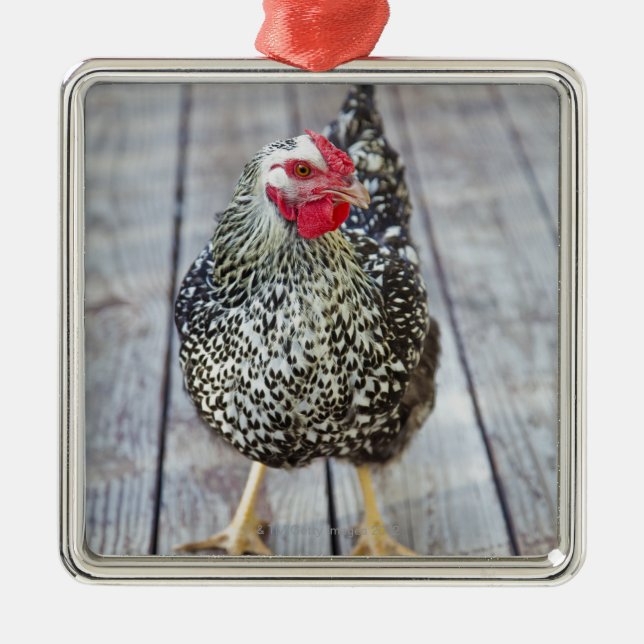 Huhn auf hölzerner Plattform, versilbern Ornament Aus Metall (Vorne)