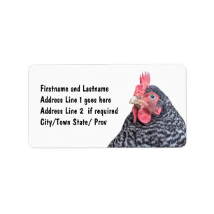 Huhn-Bild abgehaltene Felsen-Legehenne Adressaufkleber