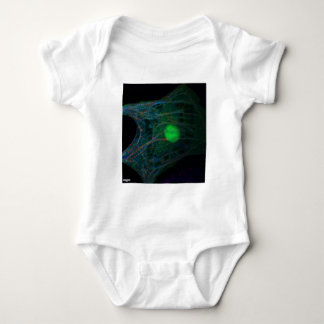 Huhn embryonales cardiomyocyte baby strampler