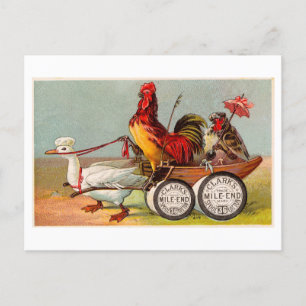 Huhn fährt Entenkarren Vintage Seltsamkeit Postkarte