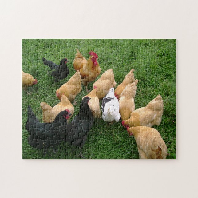 Huhn-Hahn-Henne-Menge (Horizontal)