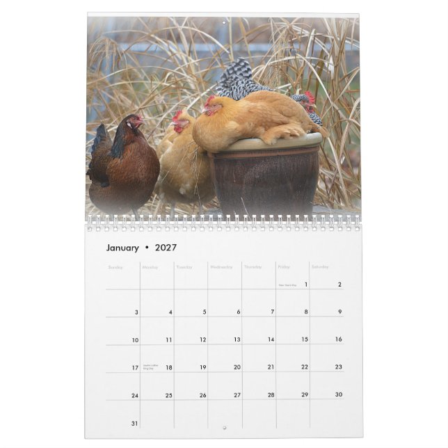 Huhn-Hof-Kalender Kalender (Jan 2027)