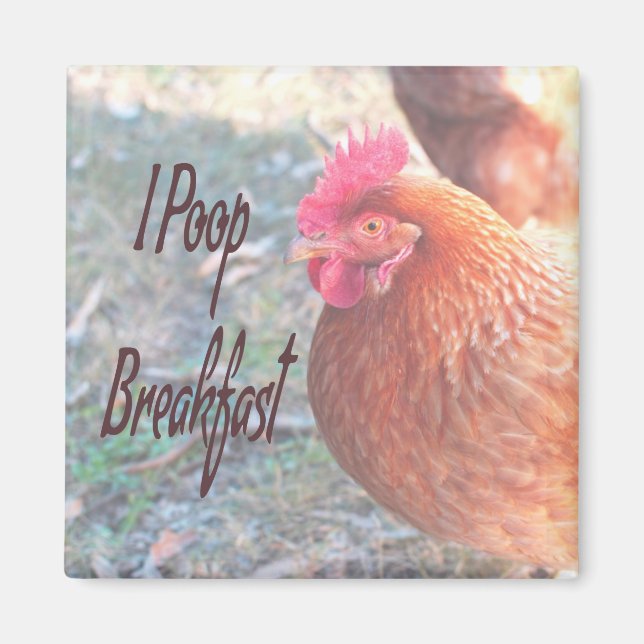 Huhn I kack Breakfast Funny Spaß Magnet (Vorne)