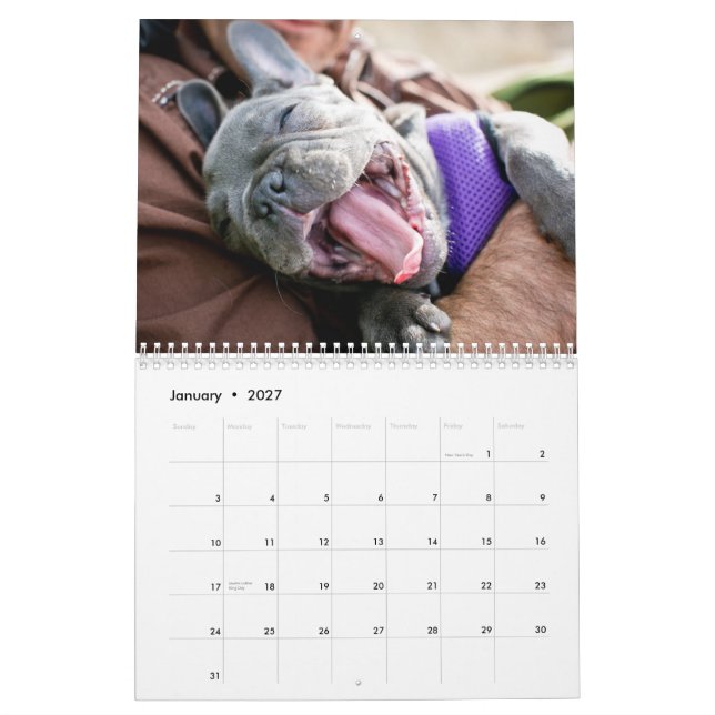 Huhn-Kalender 2013 Kalender (Jan 2027)