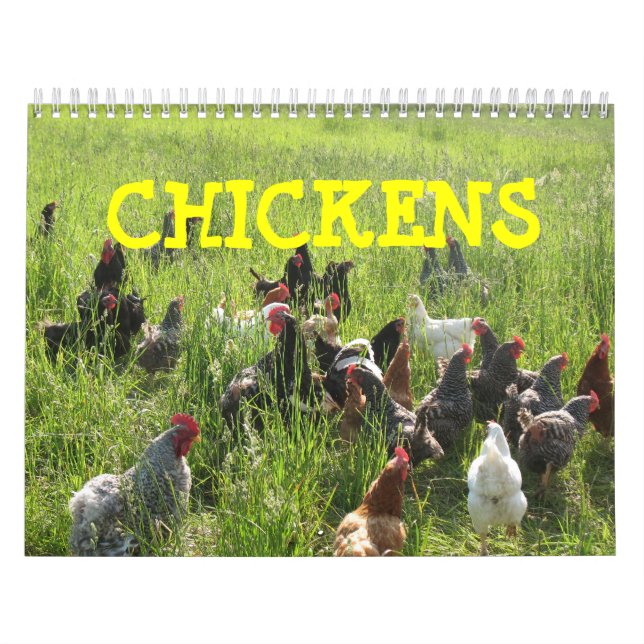 Huhn-Kalender Kalender (Titelbild)