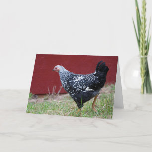 Huhn! Karte