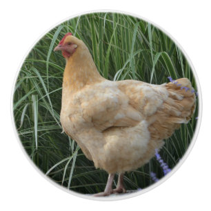 Huhn-Keramik-Griff Keramikknauf