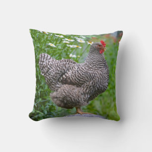 Huhn-Kissen Kissen