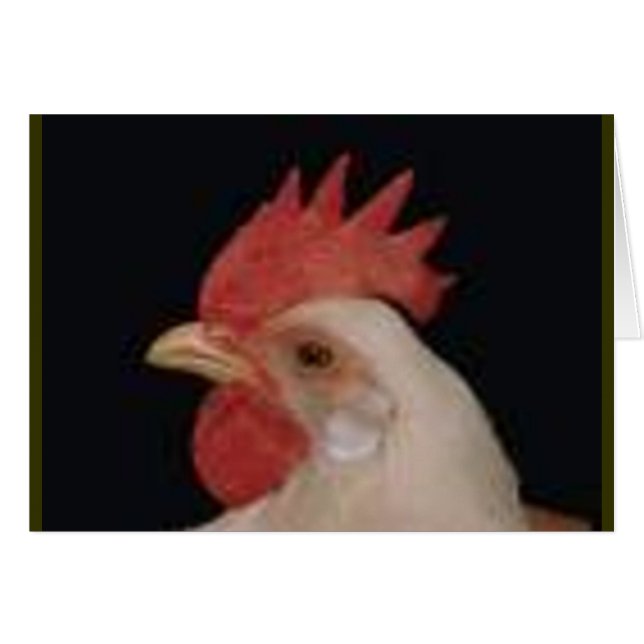 Huhn-Liebe (Vorderseite (Horizontal))