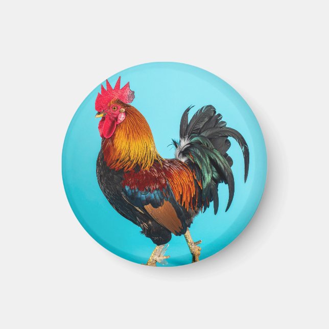 Huhn Magnet (Vorne)