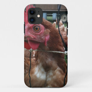 Huhn passt Sie auf title_seo2