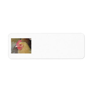 Huhn-Rückkehr-Aufkleber