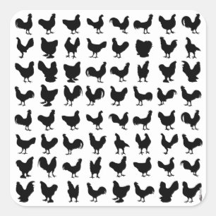 Huhn-Silhouetten Quadratischer Aufkleber
