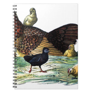 Huhn-Vintages Tier Notizblock