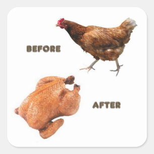 Huhn vorher und nachher quadratischer aufkleber