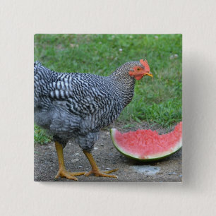Huhn-Wassermelone-Knopf Button