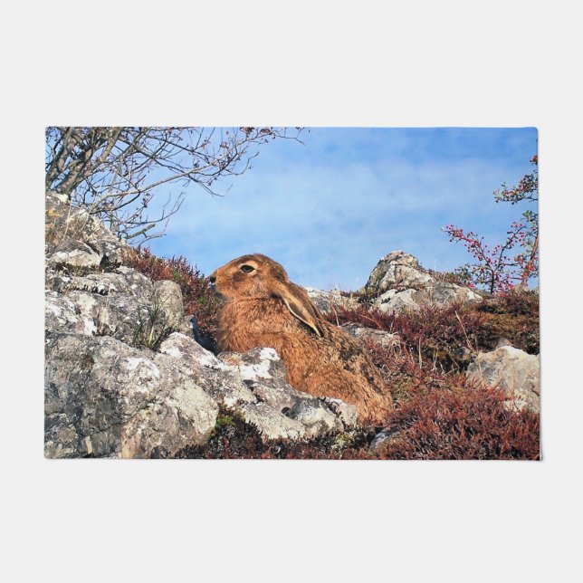 HÜHNE FUßMATTE (Vorderseite)