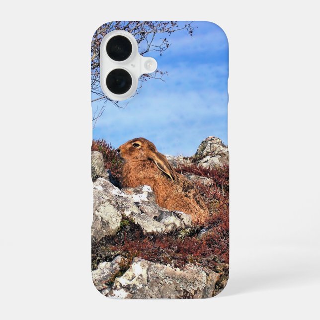HÜHNE iPhone 16 HÜLLE (Rückseite)