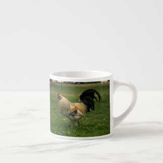 Hühner auf dem Bauernhof Foto Espressotasse