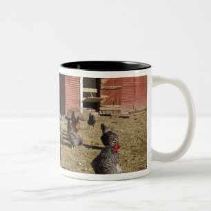 Hühner auf dem Gelände nahe des Hühnerstalls Clibu Zweifarbige Tasse