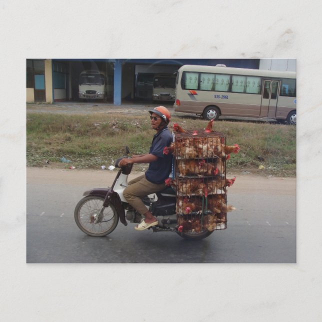 Hühner auf dem Motorrad in Vietnam Postkarte (Vorderseite)