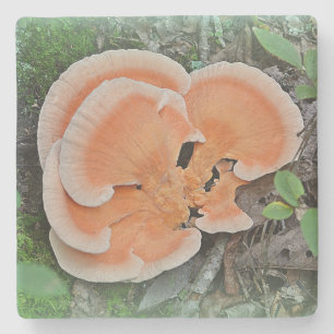 Hühner aus dem Wald Pilz Steinuntersetzer