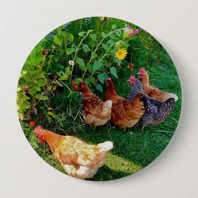 Hühner Blumen Farm Leben Foto Button (Vorderseite)