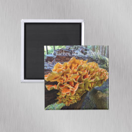 Hühner des Wald Pilz-Fotos Magnet