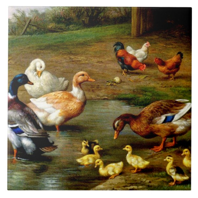 Hühner, Enten und Enten im landwirtschaftlichen Be Fliese (Vorderseite)