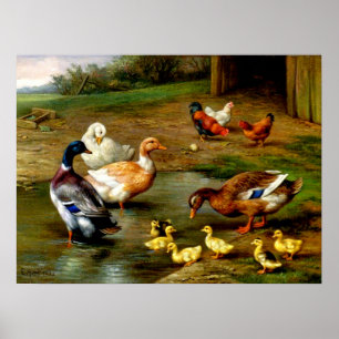 Hühner, Enten und Enten im landwirtschaftlichen Be Poster