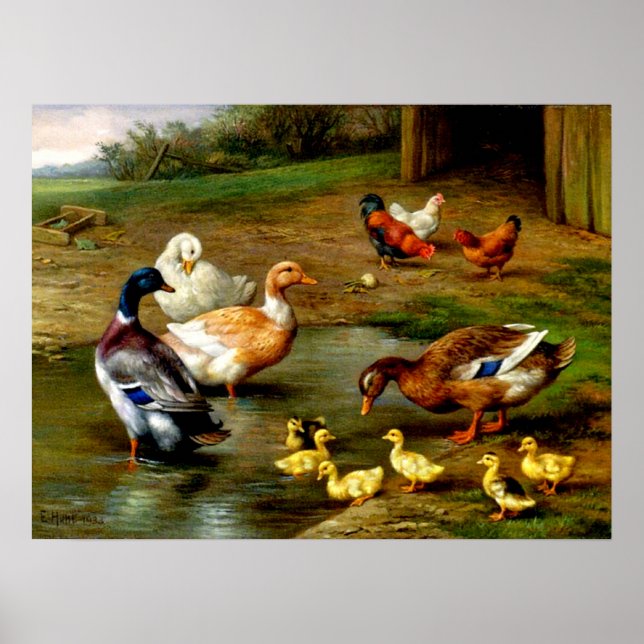 Hühner, Enten und Enten im landwirtschaftlichen Be Poster (Vorne)
