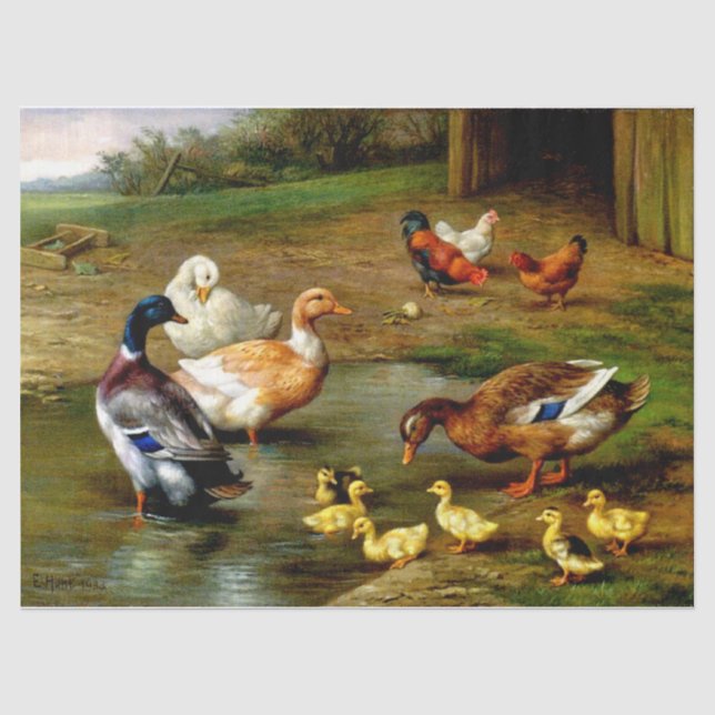 Hühner, Enten und Enten im landwirtschaftlichen Be Seidenpapier (Vorderseite)
