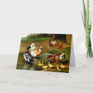 Hühner, Enten und Entenküken auf dem Bauernhof Karte