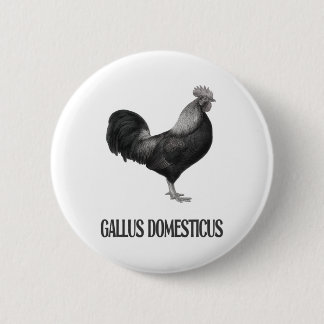 Hühner-Geflügel-Design _1 Button