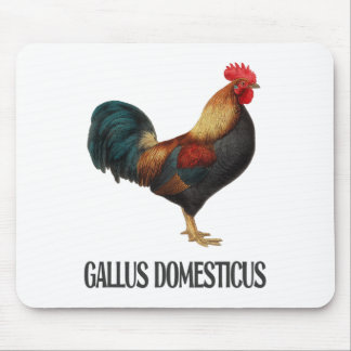 Hühner Geflügel Design _5 Mousepad