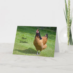 Hühner-Gratulations-Hochzeitskarte Karte