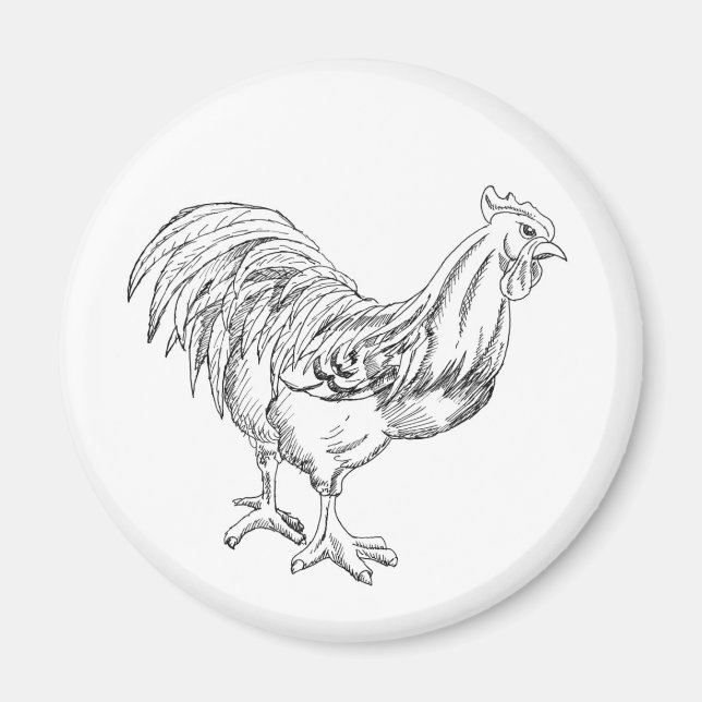 Hühner in Pen und Tinte Magnet (Vorne)