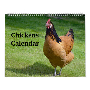 Hühner Kalender