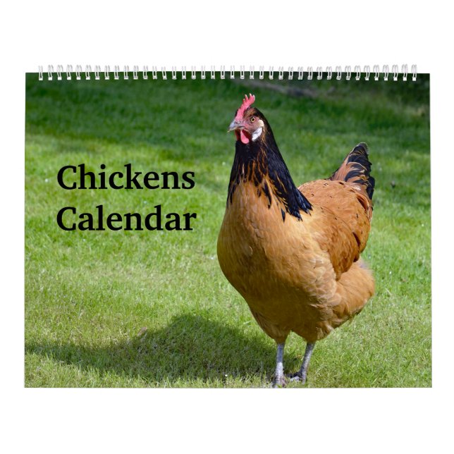 Hühner Kalender (Titelbild)