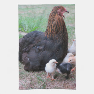 Hühner, Küken, Küken, Tiere, Vögel, Geschirrtuch