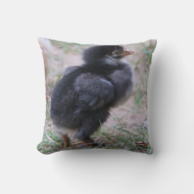 Hühner, Küken, Küken, Tiere, Vögel, Kissen (Vorderseite)