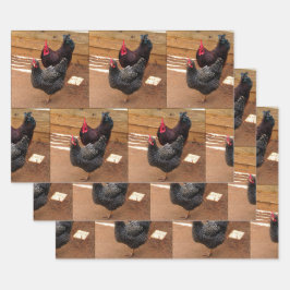 Hühner - Landwirtschaftliche Lebensweise - Umhüllu Geschenkpapier Set