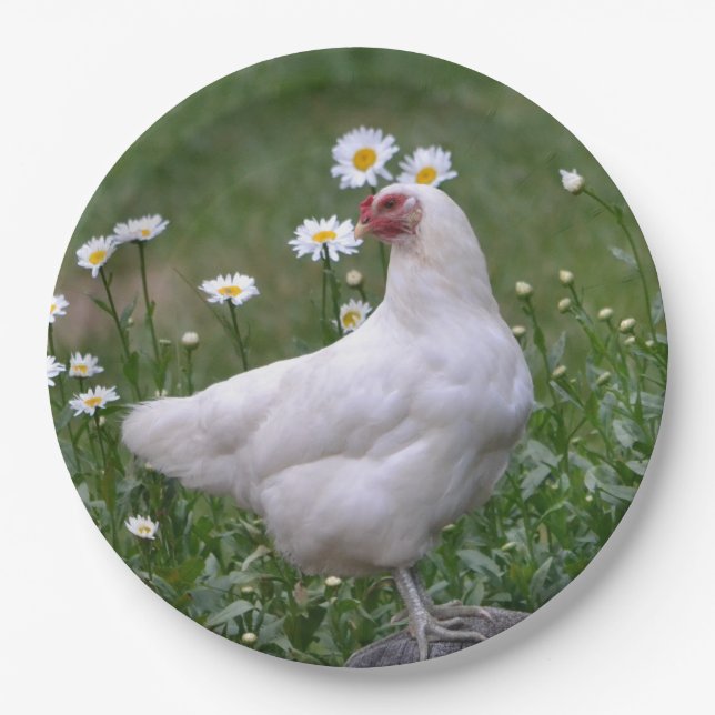 Hühner mit Dämmern Pappteller (Vorderseite)
