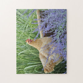 Hühner mit russischer Hülle