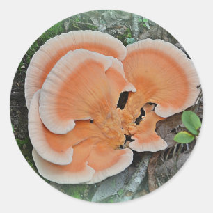 Hühner-Pilzsticker Runder Aufkleber