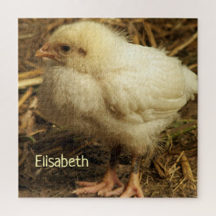 Hühner, Tiere, Küken, Vögel, Bauernhof, niedlich,