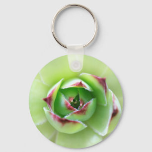 Hühner und Hühner Schöne Sukkuline Blume Pflanze Schlüsselanhänger