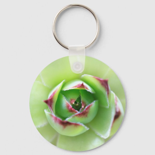 Hühner und Hühner Schöne Sukkuline Blume Pflanze Schlüsselanhänger (Vorderseite)